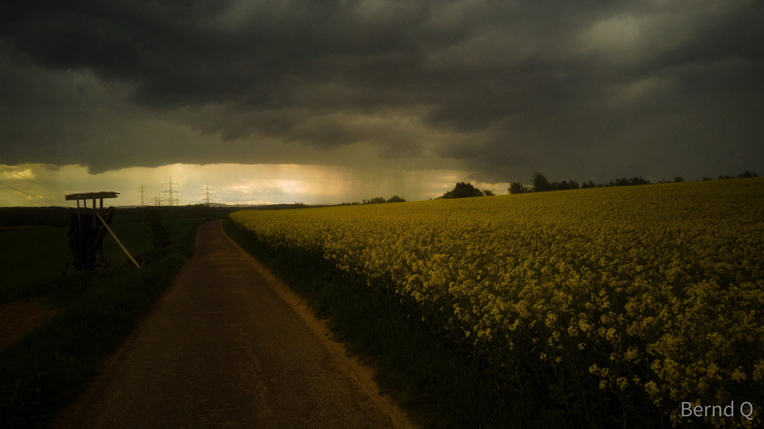 Rapsfeld im Unwetter