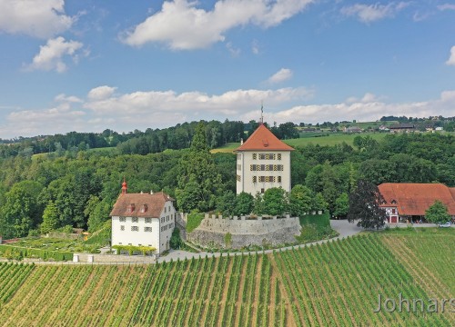 Schloss Heidegg