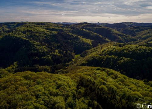 Kirchwald Nitzblich