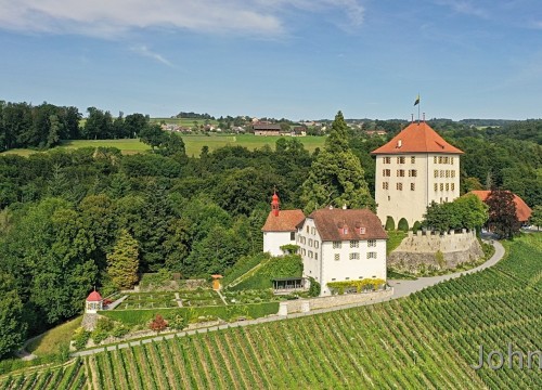 Schloss Heidegg