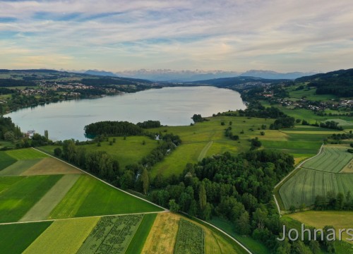 Hallwilersee