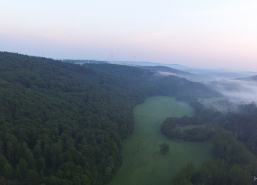 Morgennebel im Feldatal